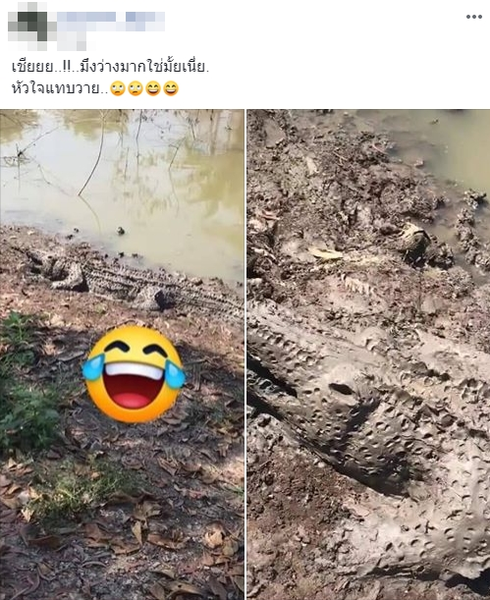 Co giò chạy khi nhìn thấy cá sấu tắm bùn và cái kết ‘đau ruột‘ - Hình 3 Co gio chay khi nhin thay ca sau tam bun va cai ket ‘dau ruot‘-Hinh-3