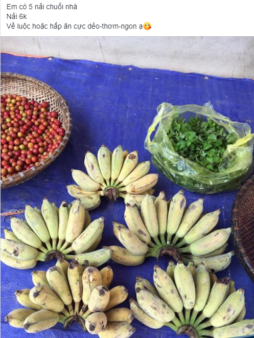 Vai nghin dong/kg chuoi tren cho mang, nguoi tieu dung thi nhau dat mua-Hinh-3