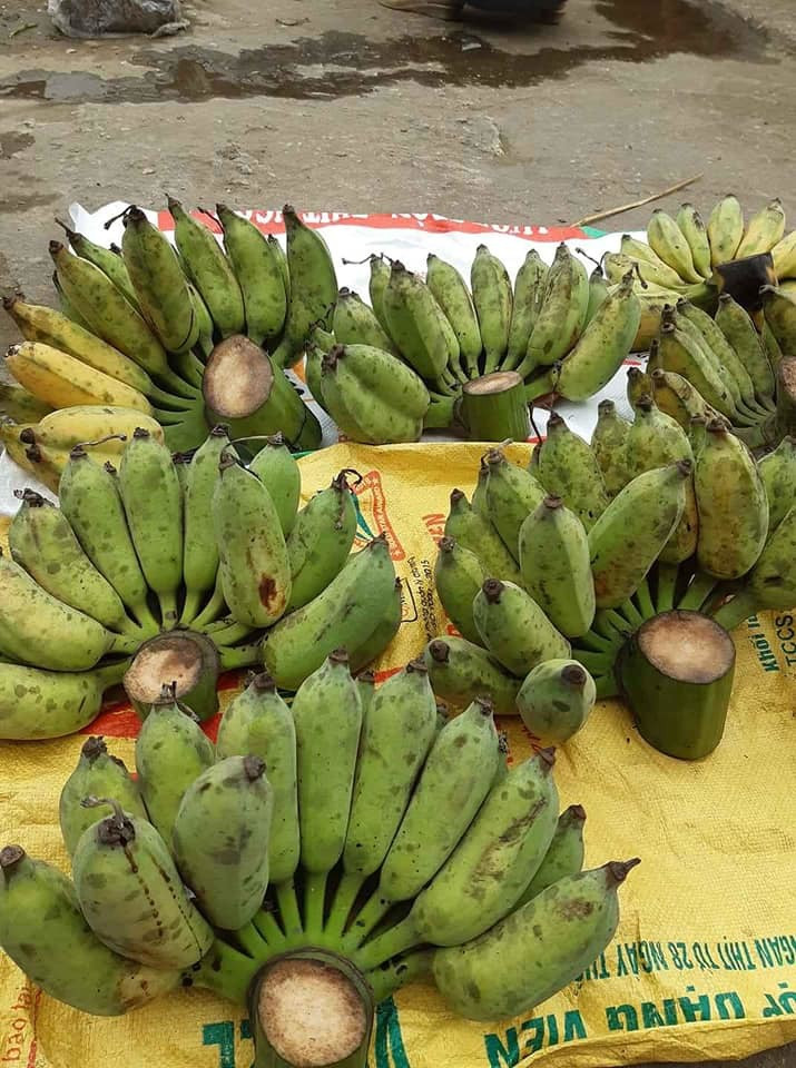 Vai nghin dong/kg chuoi tren cho mang, nguoi tieu dung thi nhau dat mua-Hinh-2