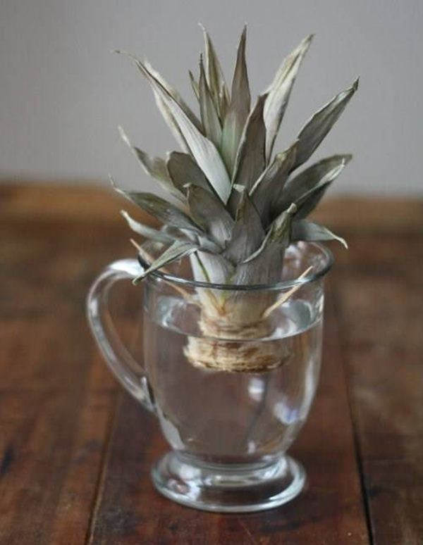 An dua dung voi vut ngon, dem cam vao coc nuoc roi xem dieu tuyet voi xay ra-Hinh-2