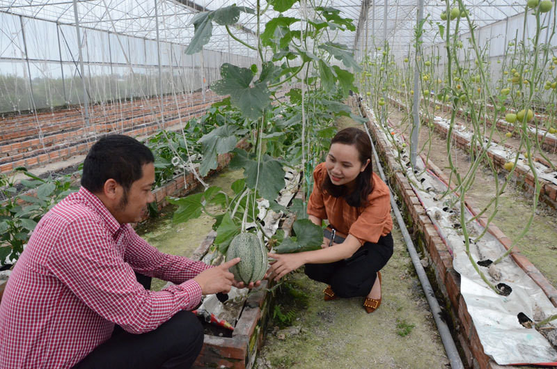 Tay trang dung nghiep, nuoi luon thu 9 ty, trong dua gom 5 ty-Hinh-2