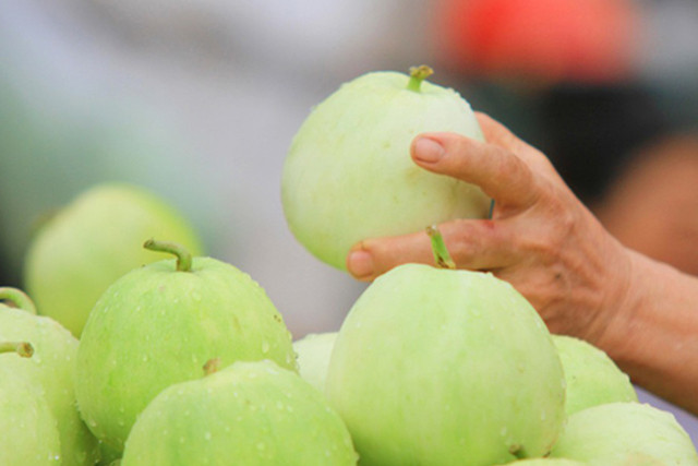 Bat mi bi quyet mua dua le ngon ngot cho cac ba noi tro-Hinh-2