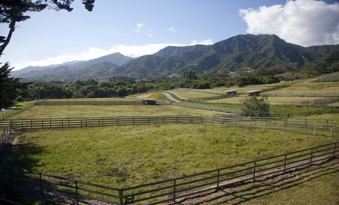 Nhiều khu đất ở điền trang này được dùng để chăn nuôi ngựa và trồng cây ăn quả.