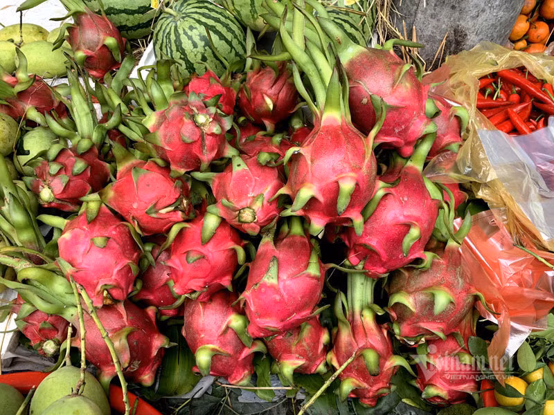 Thanh long re nhu cho, ra Ha Noi thanh dat gap 25 lan-Hinh-2