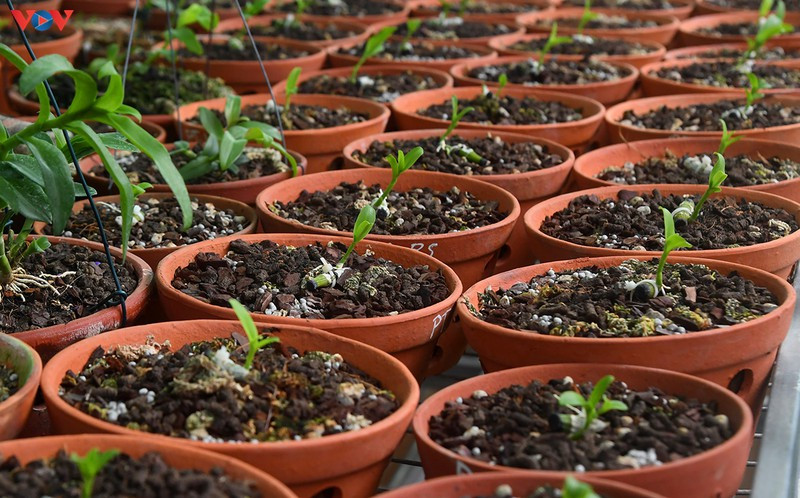 Canh bao nguoi mua ve “trai dang” tu lan dot bien gia tien ti-Hinh-4