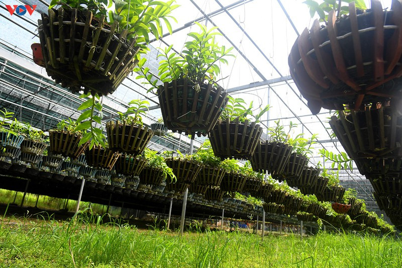 Canh bao nguoi mua ve “trai dang” tu lan dot bien gia tien ti-Hinh-6