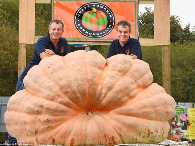 Suyt ngat xiu khi biet ban than thoi trung hoc chinh la chi ruot-Hinh-3