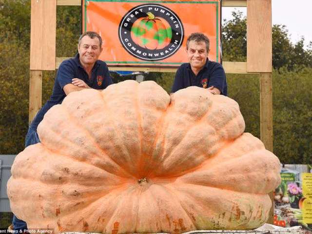 Suyt ngat xiu khi biet ban than thoi trung hoc chinh la chi ruot-Hinh-3