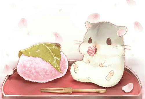 Van han cua 12 con giap nua cuoi nam 2020