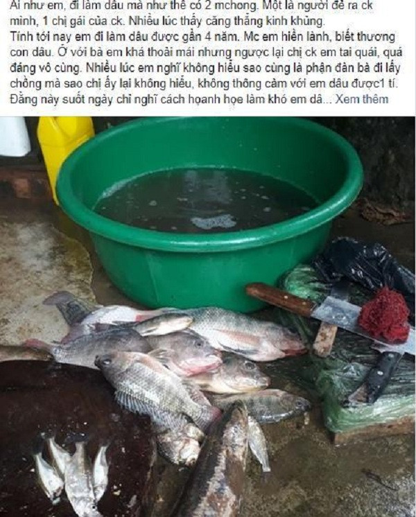 "Đỏ mặt" khi chị chồng mắng "tham" vì xin con cá ảnh 1