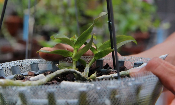 Canh giac voi nhung thuong vu mua ban lan bac ty