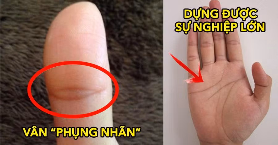 Tướng tay chôn tiền, cả đời ngập trong phú quý Tuong tay chon tien, ca doi ngap trong phu quy