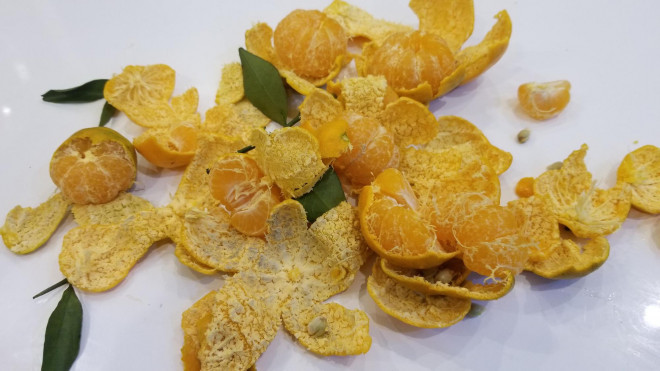 Rung minh voi loai quyt vo van tuoi nhung ben trong da moc xanh