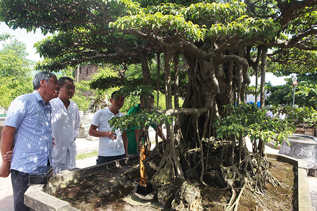 Chi 24 ty mua 2 cay sanh danh tieng bac nhat-Hinh-5