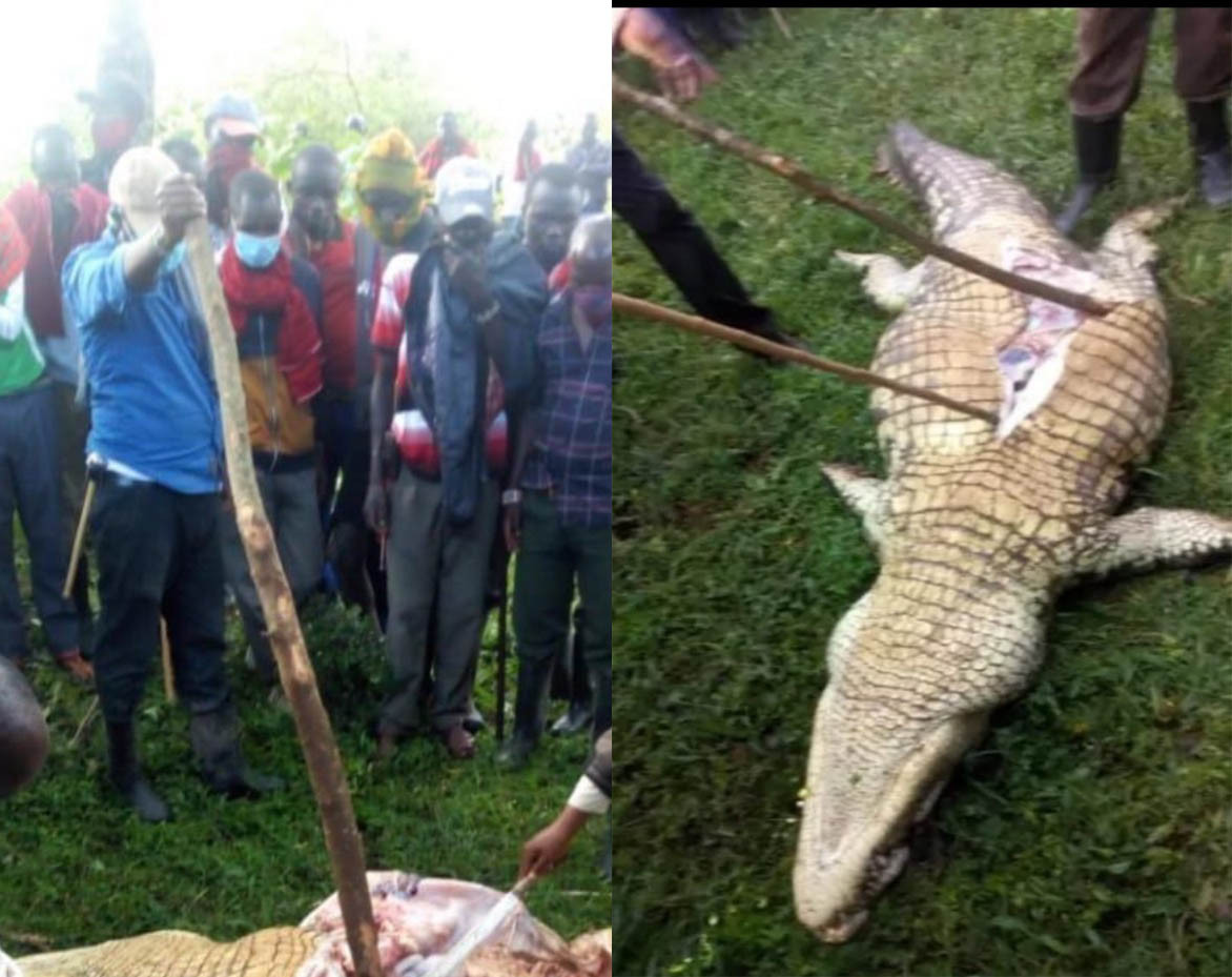 Dan lang lung giet roi mo bung ca sau doi xac