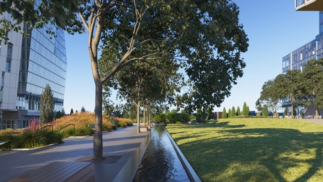 Mua COVID-19, gia dinh bi an 