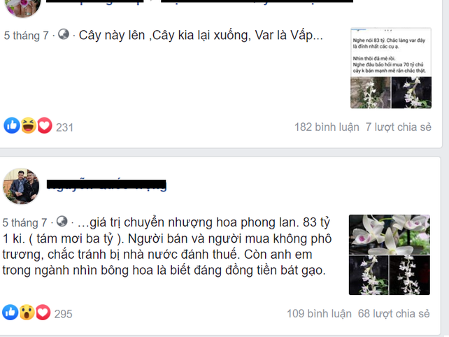 Chau lan Juliet 83 ty, khien cong dong cay canh 'chia phe'-Hinh-4