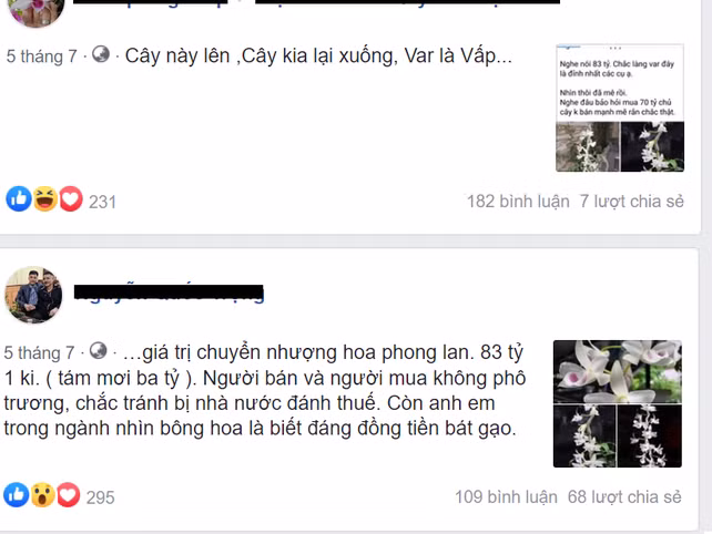 Chau lan Juliet 83 ty, khien cong dong cay canh 'chia phe'-Hinh-4