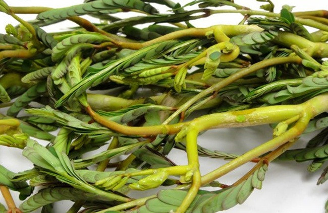 Nhìn tưởng cỏ dại, đầy ao hồ, đem về trồng lại có tiền 'ngập túi' - Hình 2 Nhin tuong co dai, day ao ho, dem ve trong lai co tien 'ngap tui'-Hinh-2