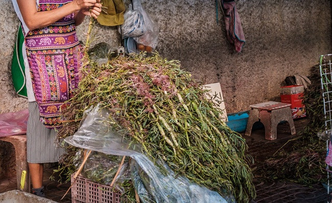Nhìn tưởng cỏ dại, đầy ao hồ, đem về trồng lại có tiền 'ngập túi' - Hình 4 Nhin tuong co dai, day ao ho, dem ve trong lai co tien 'ngap tui'-Hinh-4