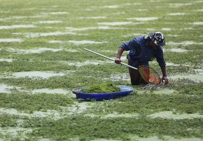 Nhin tuong co dai, day ao ho, dem ve trong lai co tien 'ngap tui'-Hinh-5