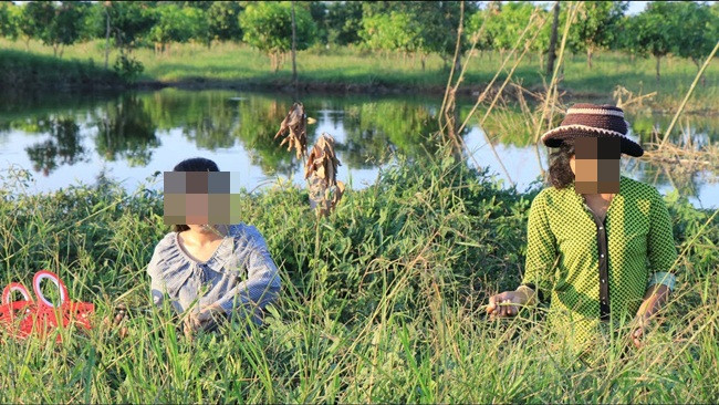 Nhìn tưởng cỏ dại, đầy ao hồ, đem về trồng lại có tiền 'ngập túi' - Hình 3 Nhin tuong co dai, day ao ho, dem ve trong lai co tien 'ngap tui'-Hinh-3