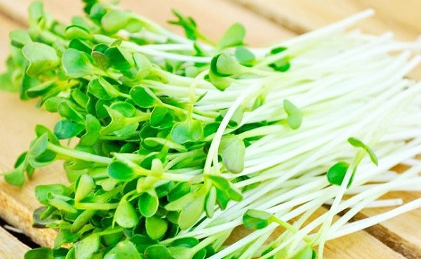 8 loai rau cu khong nau ky se gay ngo doc co the-Hinh-5