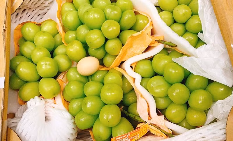 Nho Nhat Ban qua to hon trung ga: Gia 7 trieu/chum-Hinh-2