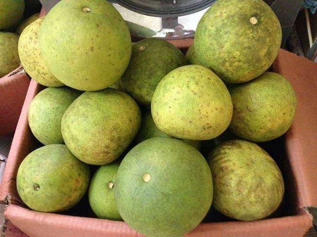 Duoi bo dong lanh, cua hoang de hap hoi re kho tin-Hinh-2