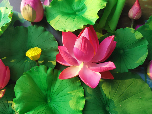 Bat dat set no hoa, ban gia hang trieu dong-Hinh-3