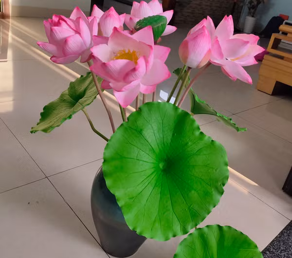 Bat dat set no hoa, ban gia hang trieu dong-Hinh-4