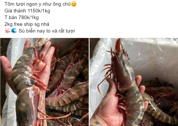 Tom su khong lo ban voi gia re 'chua tung thay'