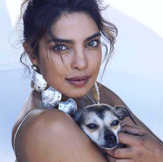 Priyanka còn sắm một chiếc túi chuyên dụng của thương hiệu Louis Vuitton có giá hơn 3.000 USD chỉ để mang chó đi chơi, dạo phố. Chiếc túi có khả năng chống nước, chống trầy xước và được quảng cáo mang đến sự thoải mái và sang trọng cho cả chủ sở hữu lẫn vật nuôi.