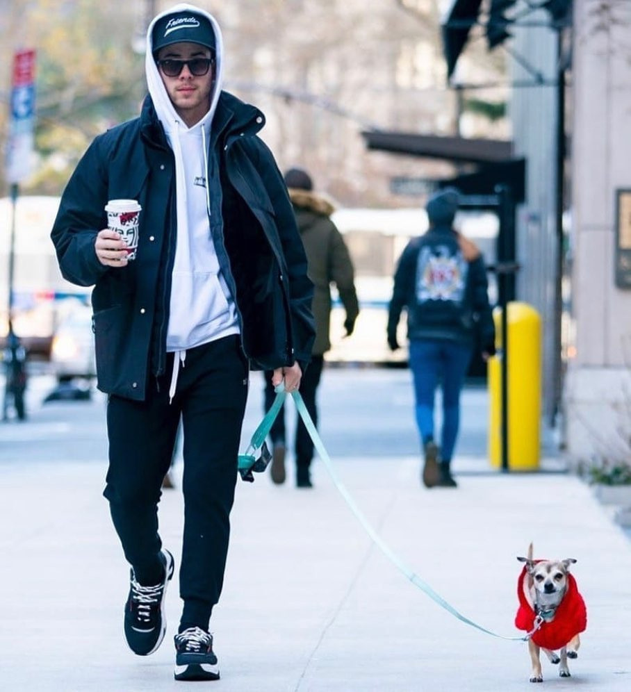 Priyanka và Nick kết hôn vào tháng 12/2018 tại Ấn Độ. Trong thời gian hẹn hò, cả hai giải cứu và nhận nuôi Diana từ một trại cứu hộ. Còn Gino là món quà mà Priyanka dành tặng cho chồng nhân dịp kỷ niệm một năm ngày cưới.