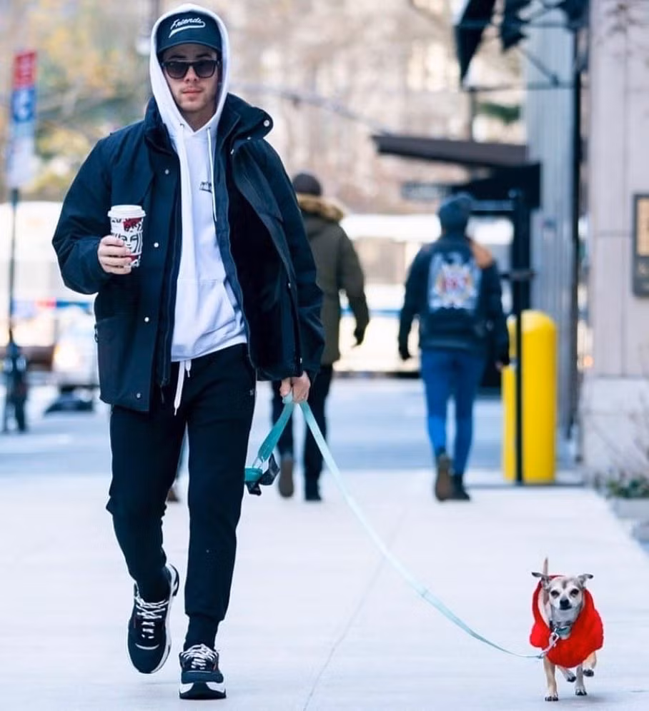 Priyanka và Nick kết hôn vào tháng 12/2018 tại Ấn Độ. Trong thời gian hẹn hò, cả hai giải cứu và nhận nuôi Diana từ một trại cứu hộ. Còn Gino là món quà mà Priyanka dành tặng cho chồng nhân dịp kỷ niệm một năm ngày cưới.