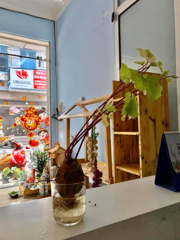 Cu dan mang hao hung khoe canh rau cu 'tinh ngu', bat mam-Hinh-4