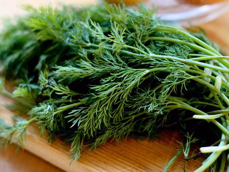 Loai rau giup giam luong duong trong mau va chong ung thu