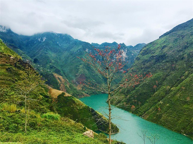 Uốn quanh những khúc cua của đèo Mã Pì Lèng là con sông Nho Quế. “Dải lụa xanh” mang vẻ đẹp nao lòng, với đường cong uốn lượn ôm sát hai bên vách núi, có khi hững hờ trôi với những làn sương mỏng. Chèo thuyền trên sông Nho Quế là trải nghiệm nhiều du khách yêu thích khi đến Hà Giang.