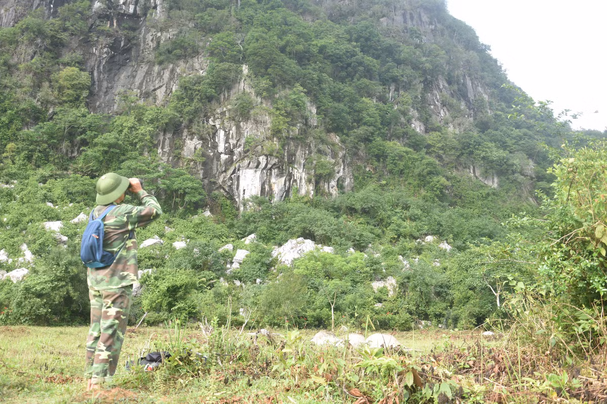 Cuu chien binh hang chuc nam tu nguyen bao ve dan vooc quy hiem