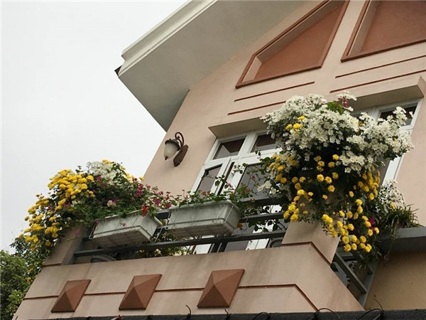 Ngôi nhà ngập tràn sắc hoa lung linh của ca sĩ Bích Phương Ngoi nha ngap tran sac hoa lung linh cua ca si Bich Phuong