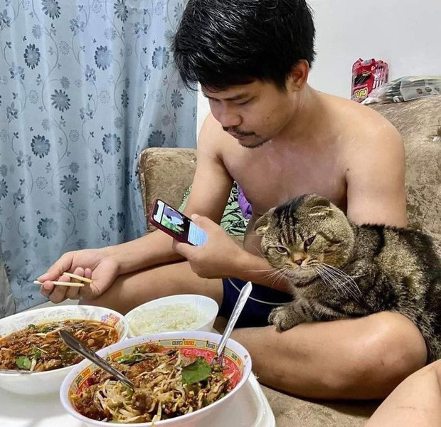 Vợ bóc phốt "tiểu tam" mèo vì bị “cướp chồng” ảnh 5