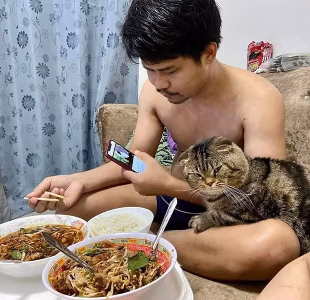 Vợ bóc phốt "tiểu tam" mèo vì bị “cướp chồng” ảnh 5