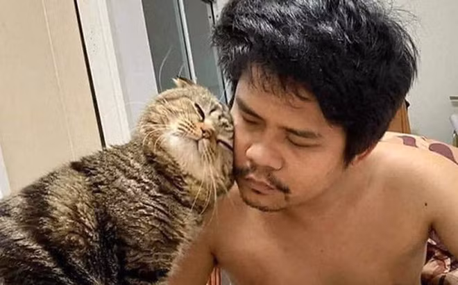 Vợ bóc phốt "tiểu tam" mèo vì bị “cướp chồng” ảnh 1