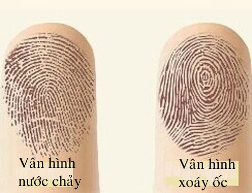 Nhin duong van tay biet cuoc song giau sang hay ngheo kho