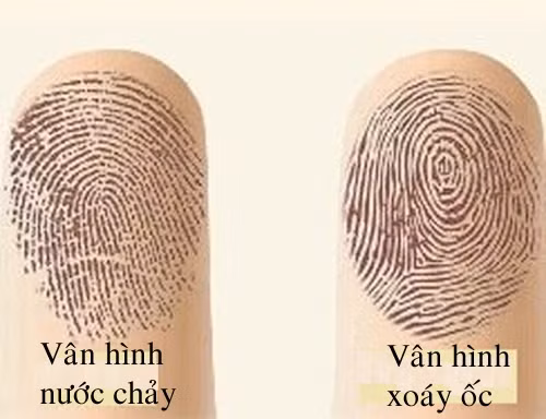 Nhin duong van tay biet cuoc song giau sang hay ngheo kho