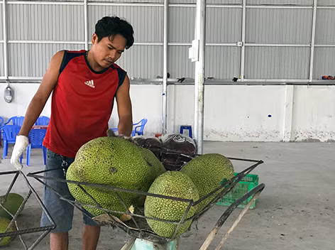 Dang re re, gia mit Thai mien Tay lai tang vot, dan phan chan