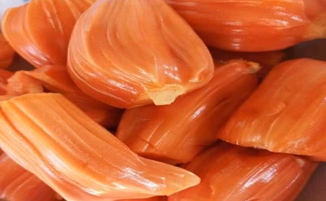 Không chỉ thơm ngon mà giống mít này cho quả khá to và nặng. Trọng lượng trung bình mỗi quả khoảng 10kg có quả nặng tới 15kg.