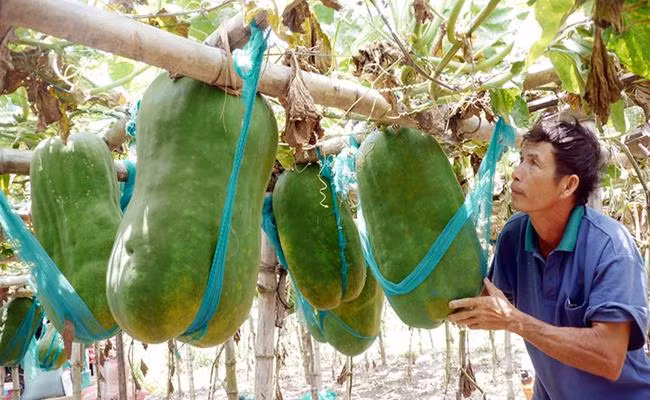 Nhung loai qua ky la chua chac nguoi Viet da biet