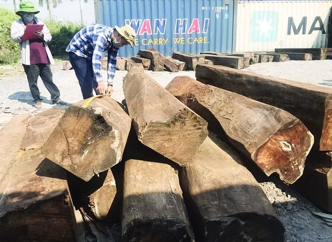 Tim chu lo hang 60 container go bi 'bo quen' tai cang