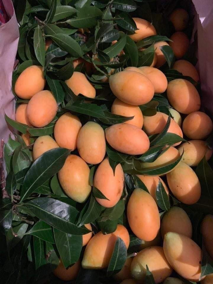 Van chua het hot, loai qua nho ma co vo khien nhieu nguoi me dam-Hinh-3